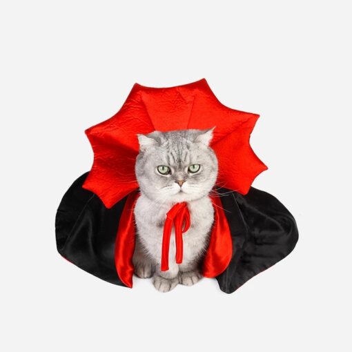 Vampīra kaķa Helovīna kostīms