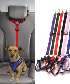 Explosive Pet Car Rear Seat Ring Safety Rope