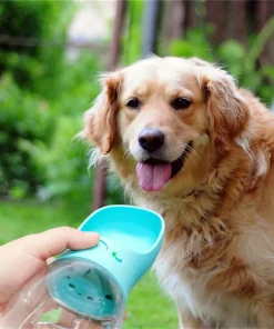 Portable Pet Water Bottle With Cup