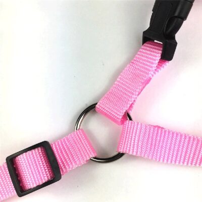 Explosive Pet Car Rear Seat Ring Safety Rope