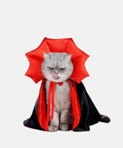 Vampire Cat Halloween Costume