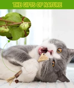 Silvervine Sticks for Cats