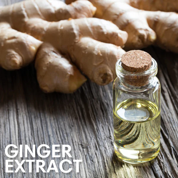 PacX™ Gynecomastia Firming Ginger Roller - Image 6