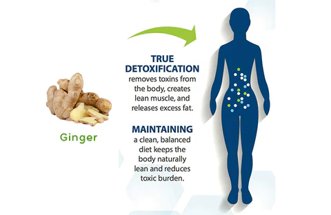 OdorFit Aromatherapy Detox Breathe Stick - Image 4