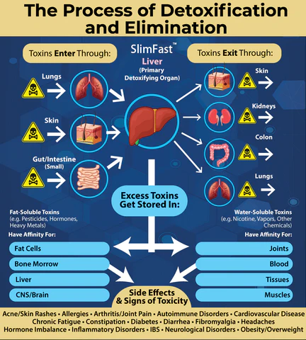OdorFit Aromatherapy Detox Breathe Stick - Image 3