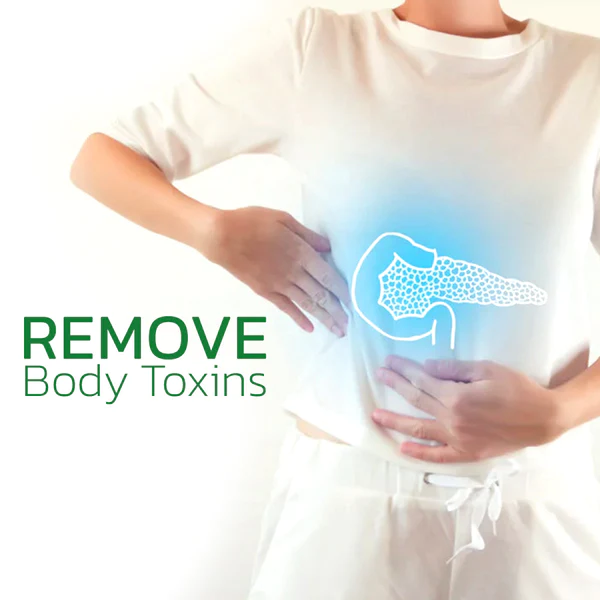 GFOUK™ NatureHeal Wormwood Purifying Pads - Image 3