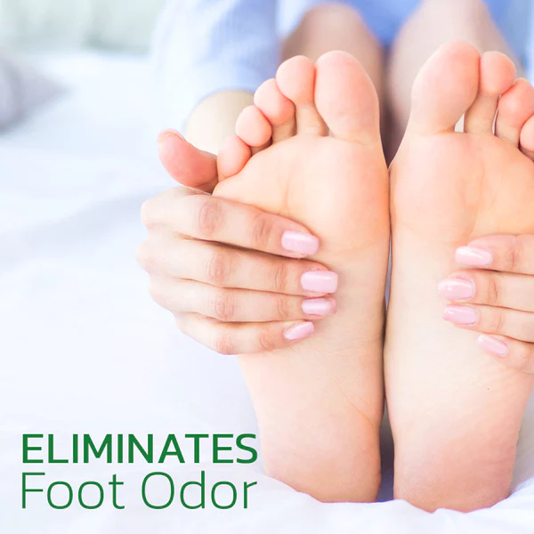 GFOUK™ NatureHeal Wormwood Purifying Pads - Image 4