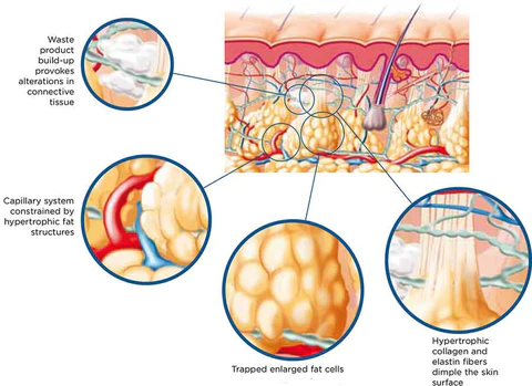 OdorFit Aromatherapy Detox Breathe Stick - Image 8