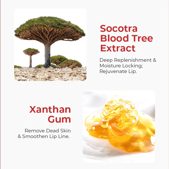 Lippo™ Dragon Tree Foam Mask - Image 4