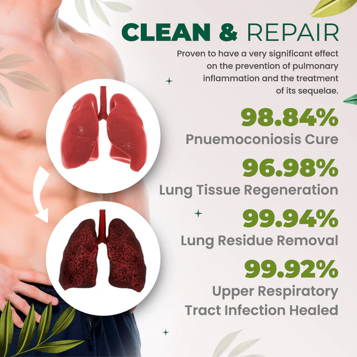 Organic Herbal Lung Cleanse Repair Patch - Image 4