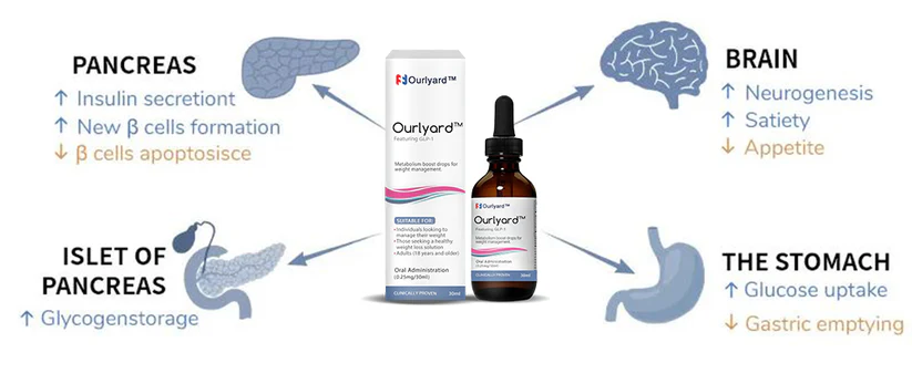 Ourlyard™ Metabolism Vitamin Drops - Image 5