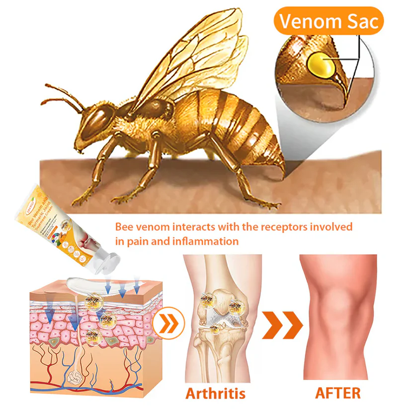 Fivfivgo™ Крем за лечение на стави с пчелна отрова и куркума - Изображение 5
