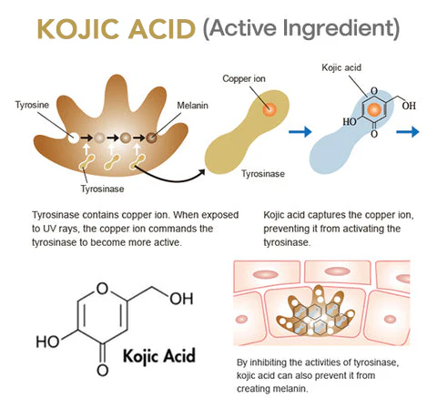 EdiJonah™ Skin Whitening Essence Ampoule - Image 5