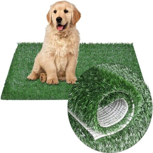 Cuscinetti per pipì in erba per cani