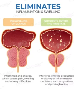Oveallgo™ Advanced ProstaAce PT-141 Nasal Spray