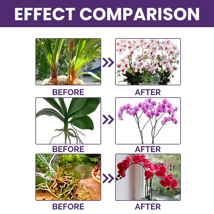 LIMETOW™ Orchid Plus Bloom Booster - Image 5
