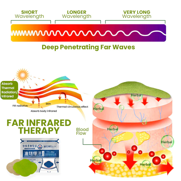 Oveallgo™ Japan Infrared Suana Therapy Wintergreen Detox Patch - Image 6