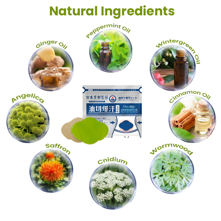 Oveallgo™ Japan Infrared Suana Therapy Wintergreen Detox Patch - Image 5