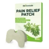 Wellnowsale knee Pain Relief Patches