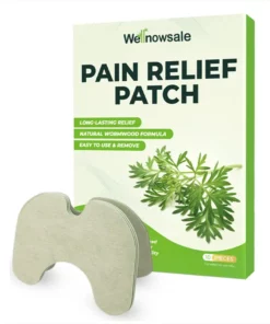 Wellnowsale knee Pain Relief Patches