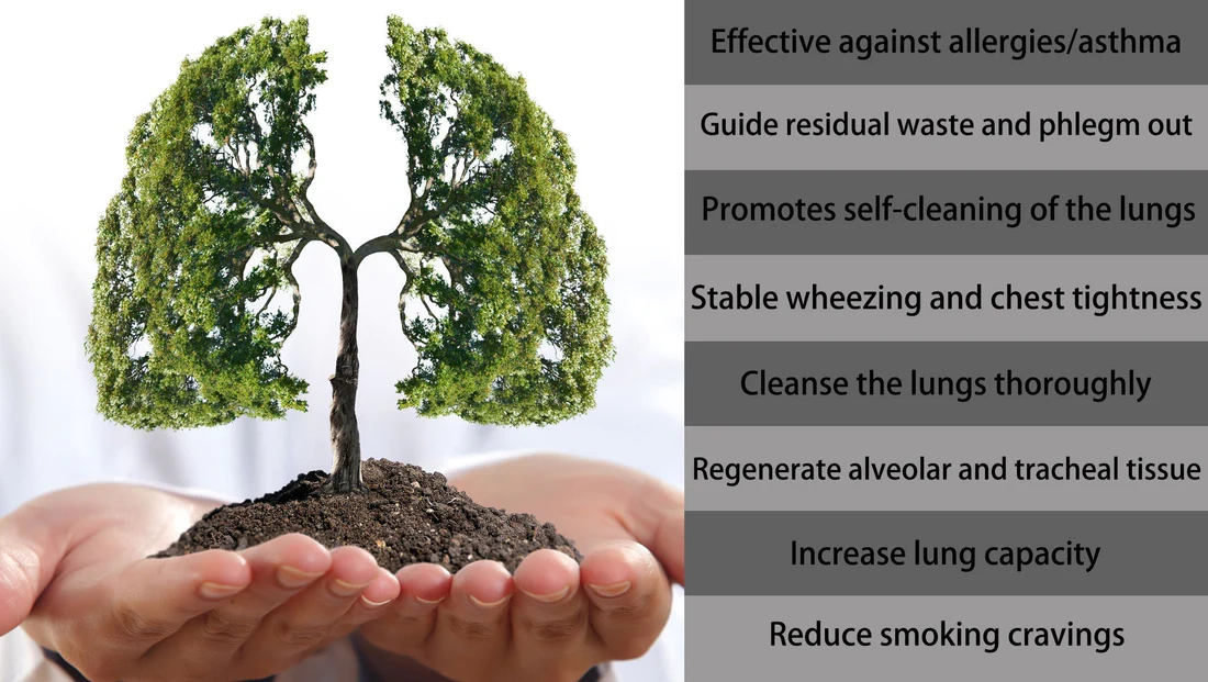 TAILEDEN™ Organic Herbal Lung Cleanse Repair Nasal Spray - Image 3