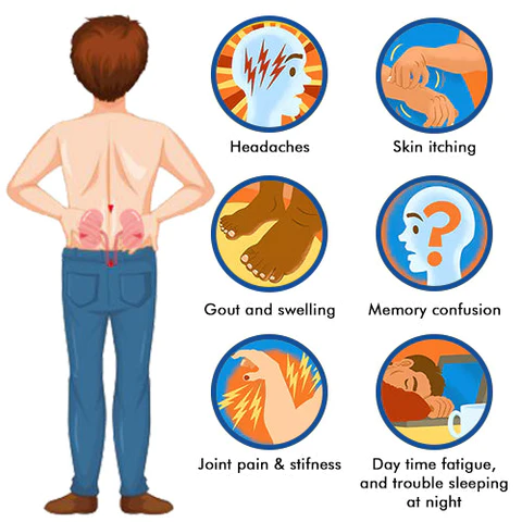 GoOut® PRO Powerful Kidney Support & Uric Acid Cleanse Herbal Drops - Image 7