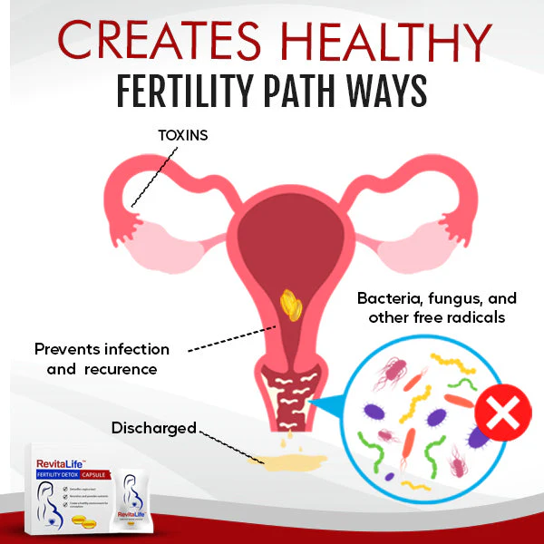 RevitaLife™ Fertility Detox Capsule - Image 4