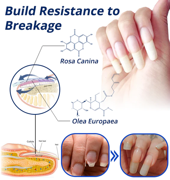 flysmus™ 7 Days Nail Recovery Rapid Growth Essence Pen - Image 6