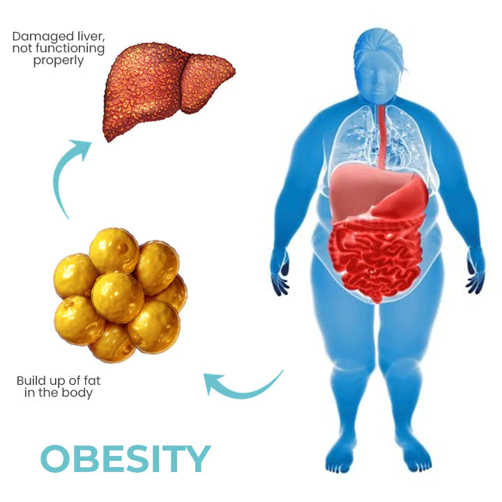 Oveallgo™ RespiCleanse Herbal Nasal Revitalizer - Image 5