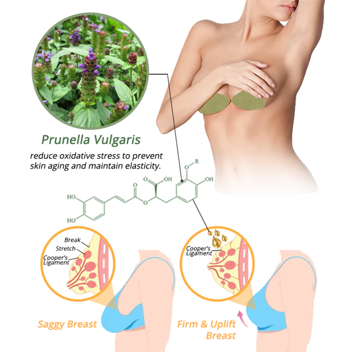 flysmus™ CurvaLux Enhancement Herbal Patch - Image 5