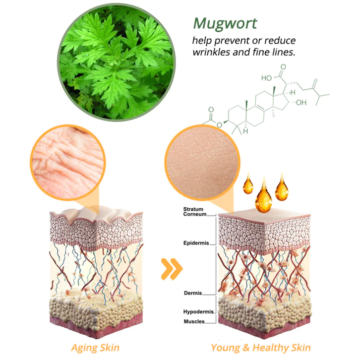 flysmus™ CurvaLux Enhancement Herbal Patch - Image 6