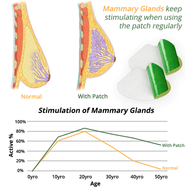 flysmus™ CurvaLux Enhancement Herbal Patch - Image 4