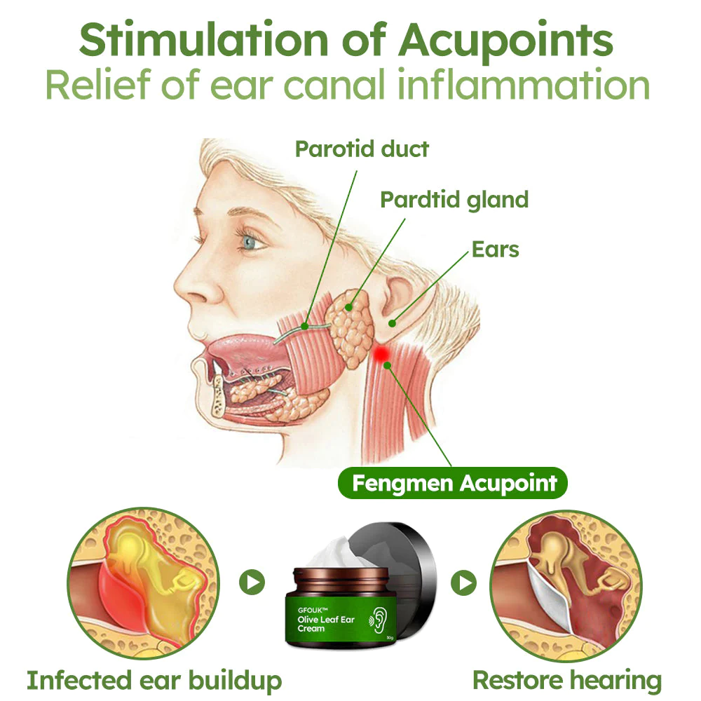 GFOUK™ Olive Leaf Ear Cream - Image 2