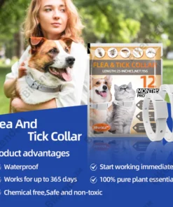 Bikenda™ Living Cell Particle Odor Surrounding Technology 100% Natural Plant Extract Pet Collar