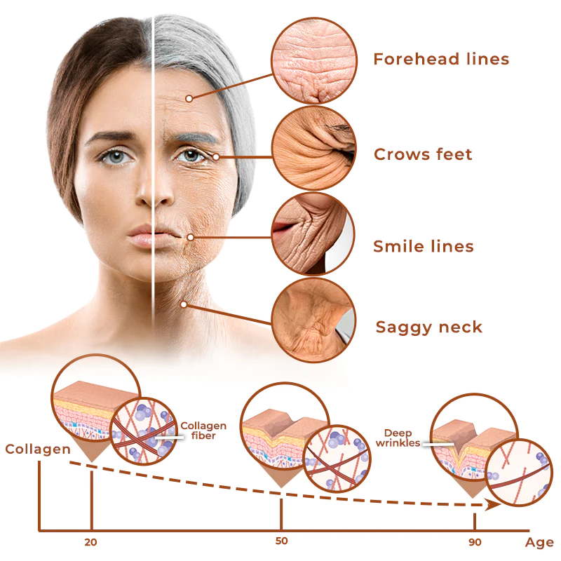 flysmus™ GinsengEx Cellular Rejuvenation Essence - Image 3