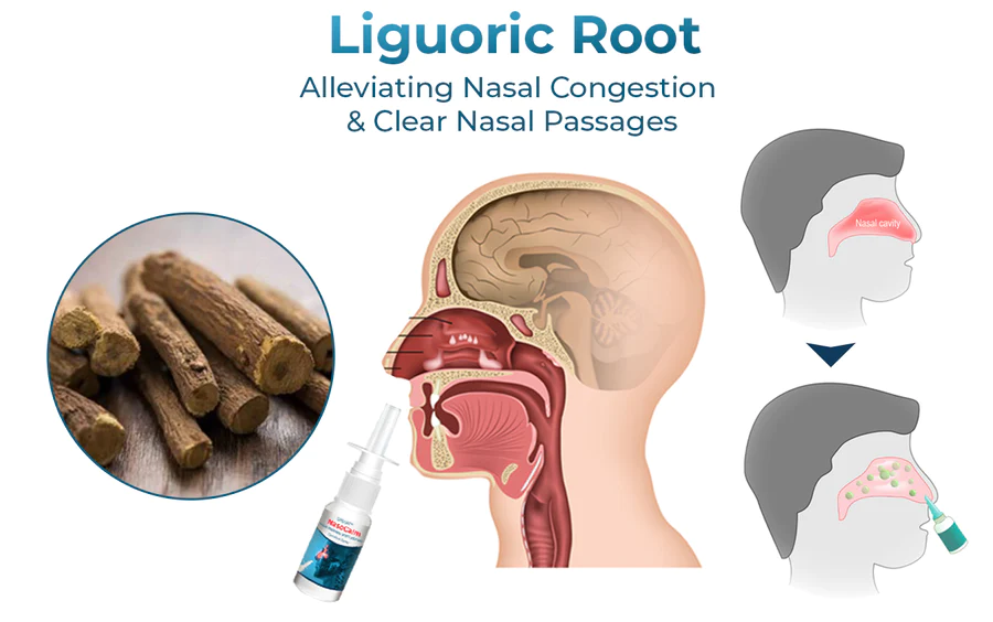 GFOUK™ NasoCalm Nasal Wellness and Turbinate Comfort Spray - Image 5