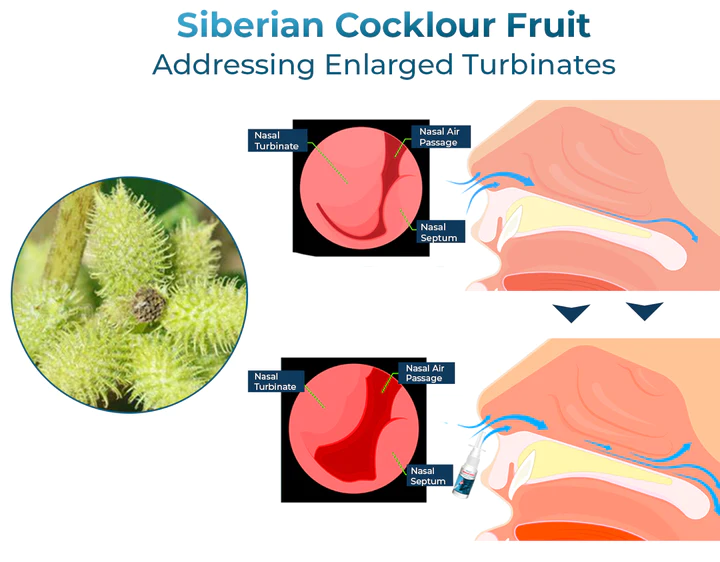 GFOUK™ NasoCalm Nasal Wellness and Turbinate Comfort Spray - Image 6