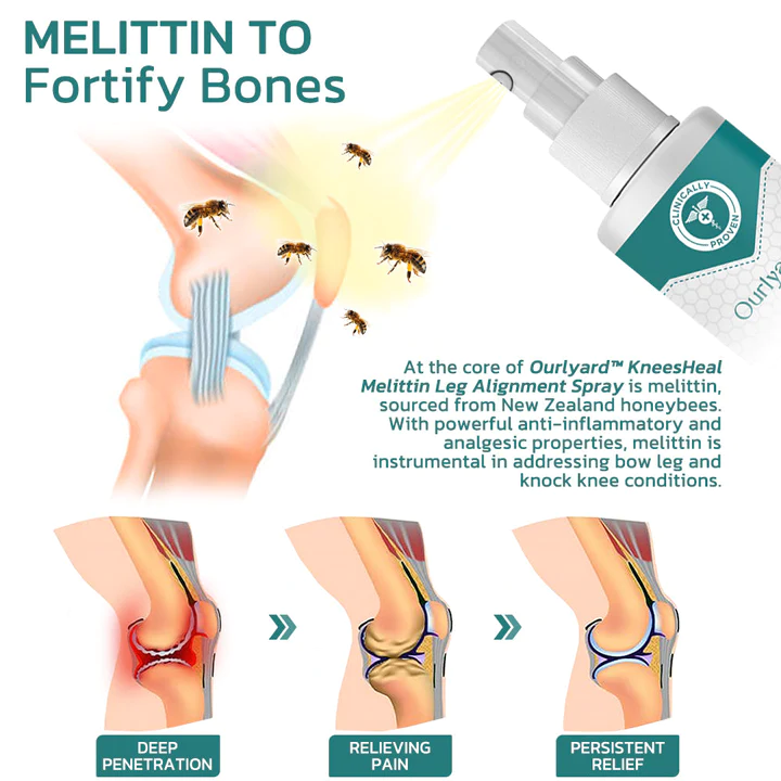 Ourlyard™ KneesHeal Melittin Leg Alignment Spray - Image 3