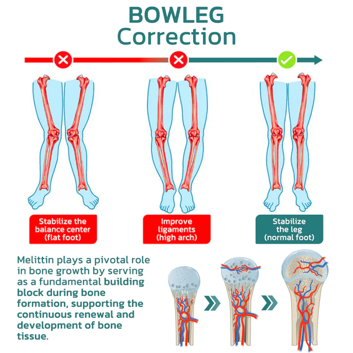 Ourlyard™ KneesHeal Melittin Leg Alignment Spray - Image 2