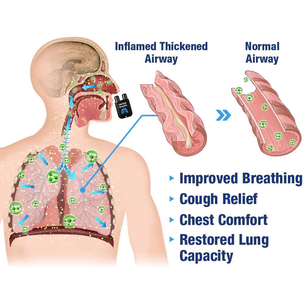 GFOUK™ HerbalBreathe Respiratory Cleansing Aerosolizer - Image 3