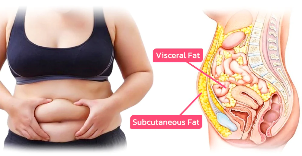 BeautyRevive™ Far Infrared Ion Deep Repair Fat Burning & Detox Shaping Bodysuit - Image 3