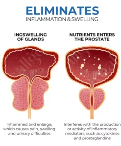 LOVILDS™BeeBoom Nasal Inhaler For Prostate Wellness