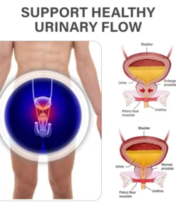 Oveallgo™ TitaniumMag Wellness Bracelet