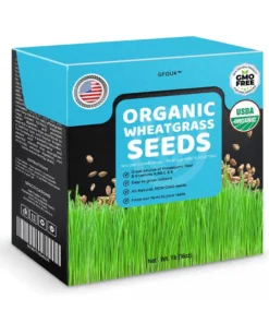 GFOUK™ Organic Wheatgrass Seeds