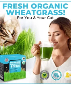 GFOUK™ Organic Wheatgrass Seeds