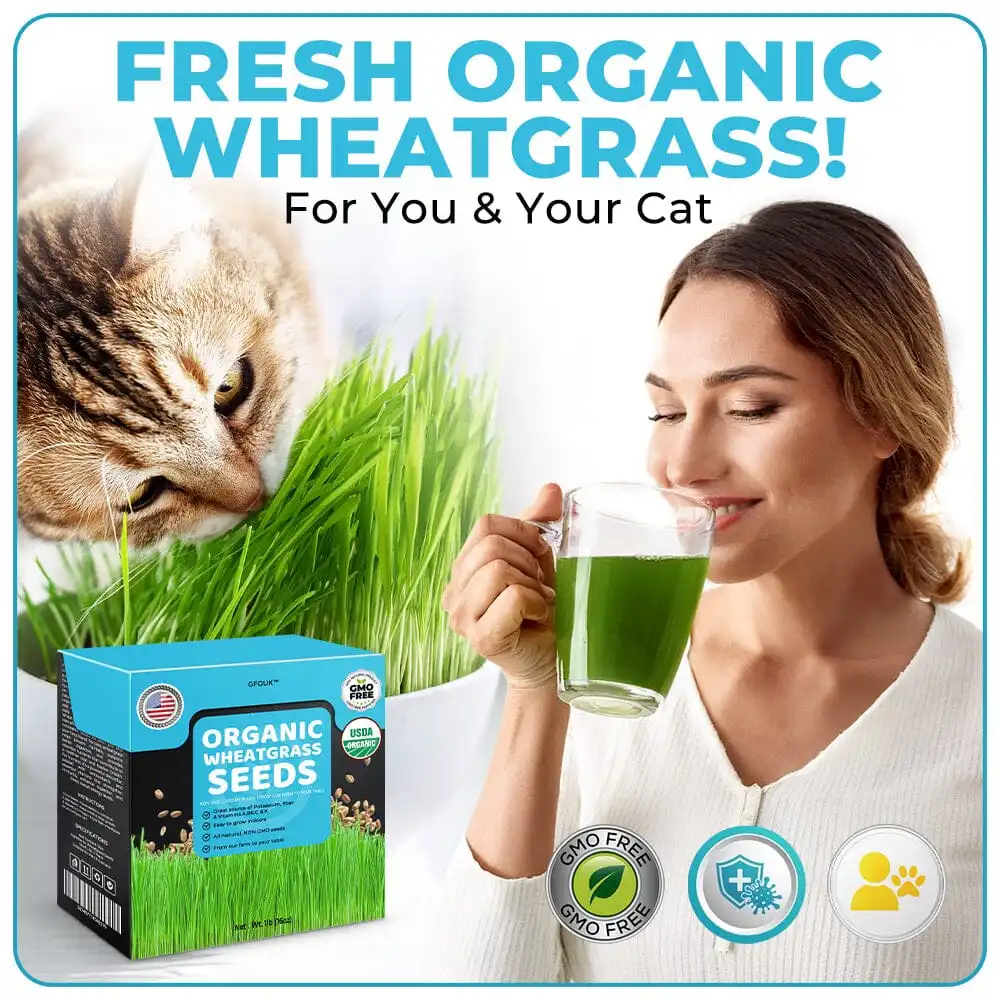 GFOUK™ Organic Wheatgrass Seeds
