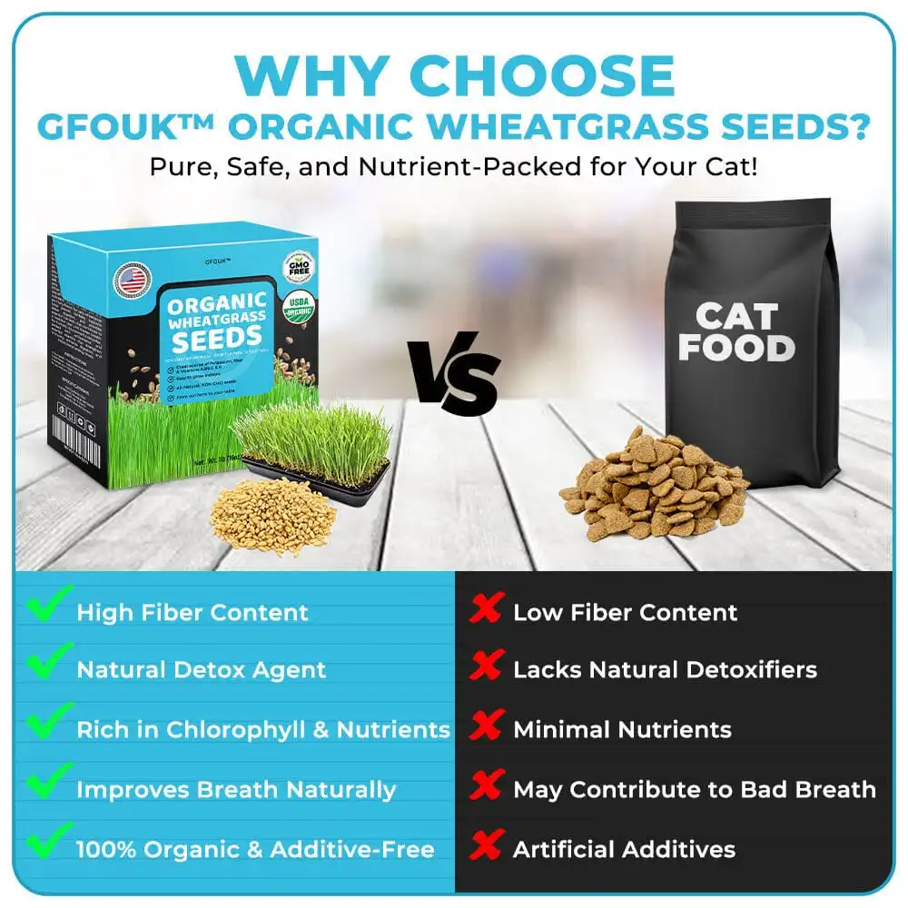 GFOUK™ Organic Wheatgrass Seeds