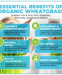 GFOUK™ Organic Wheatgrass Seeds