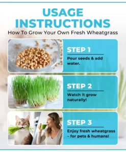 GFOUK™ Organic Wheatgrass Seeds