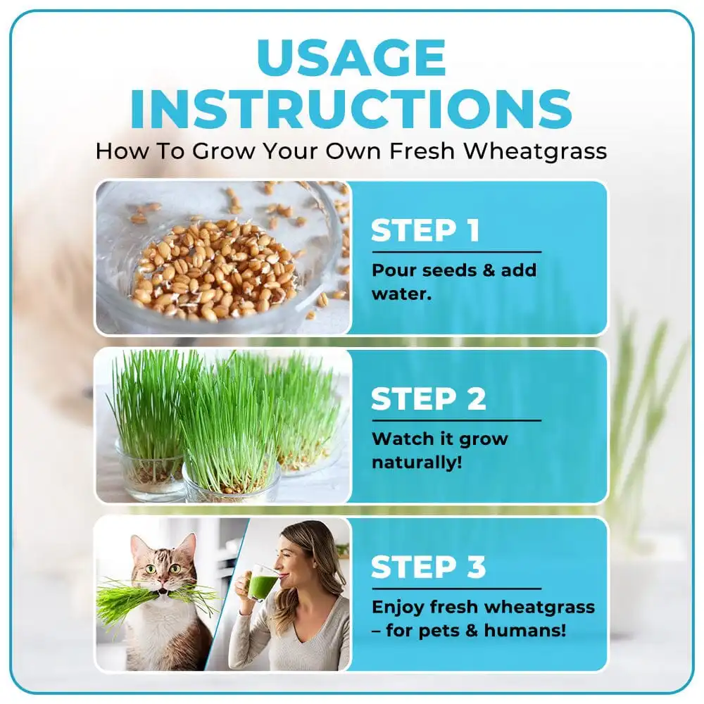 GFOUK™ Organic Wheatgrass Seeds